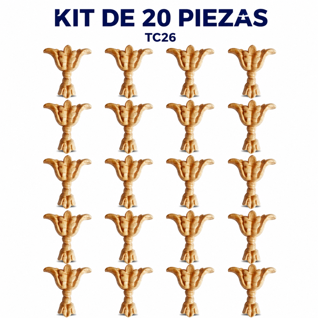 Kit de 20 Aplicaciones Decorativas TC26
