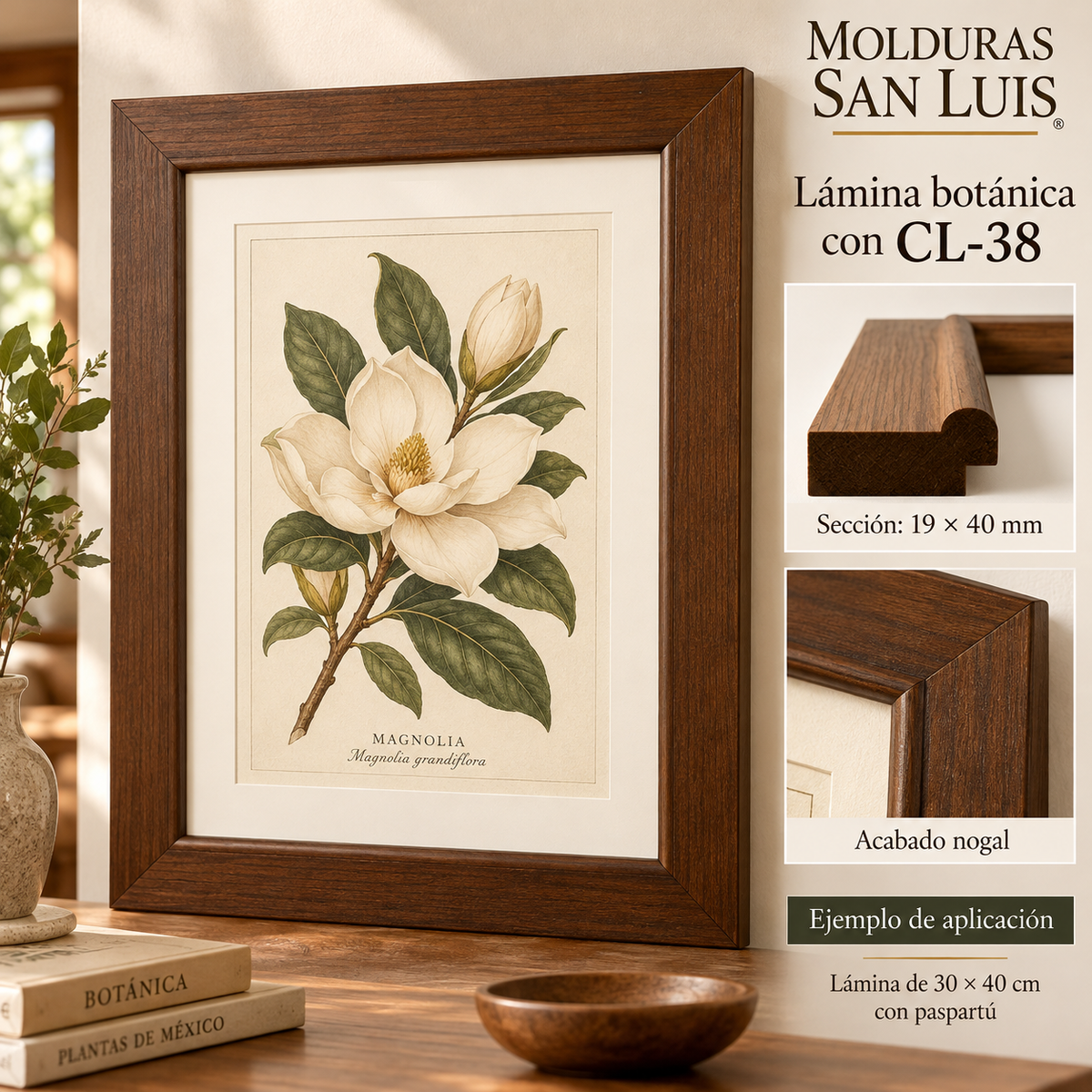 Moldura de madera lisa para marco CL38 – Kit de 4 piezas