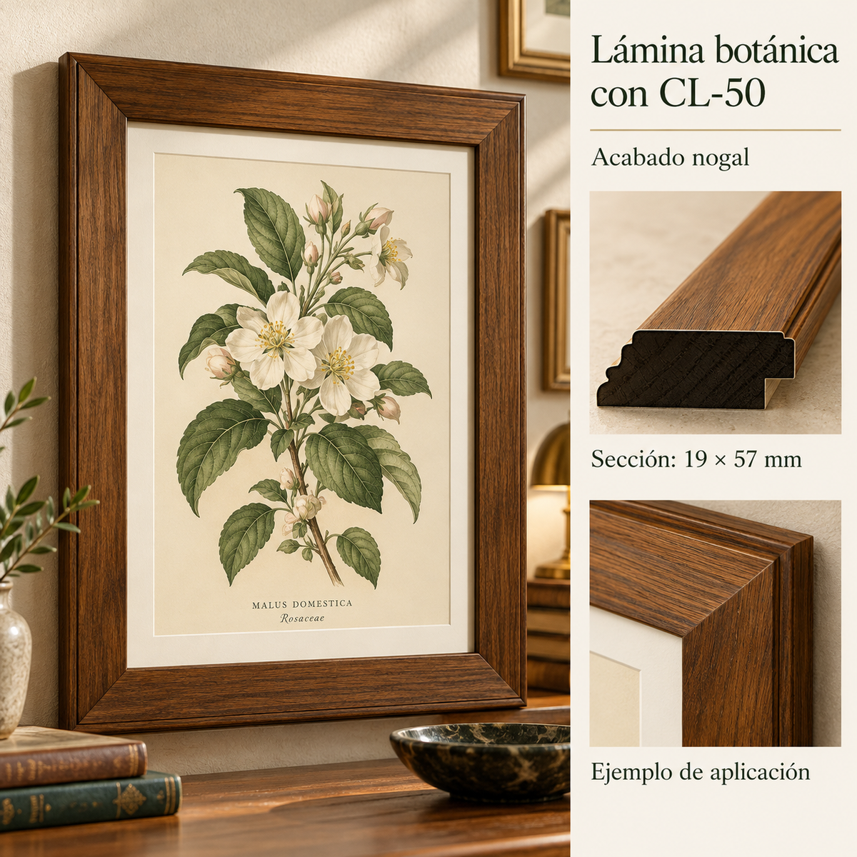 Moldura de madera lisa para marco CL50 – Kit de 4 piezas