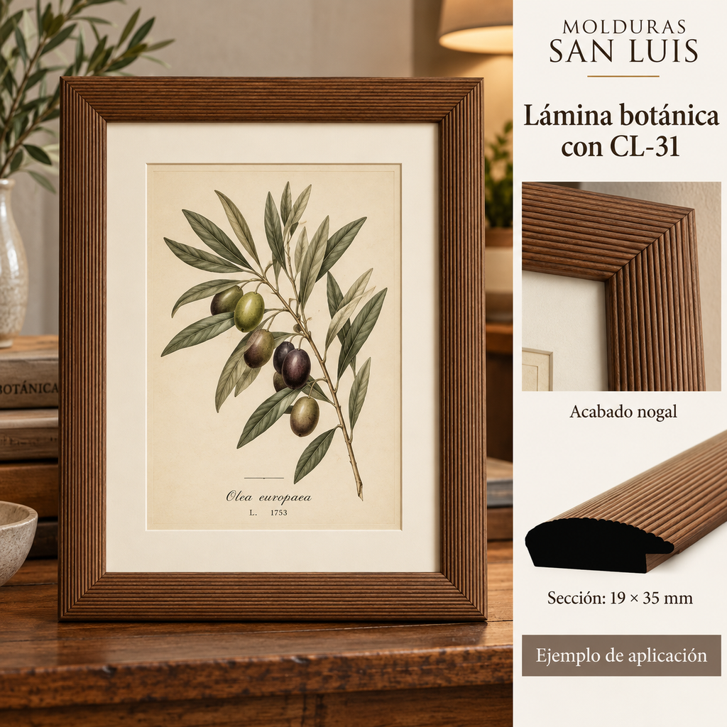 Moldura de madera lisa para marco CL31 – Kit de 4 piezas