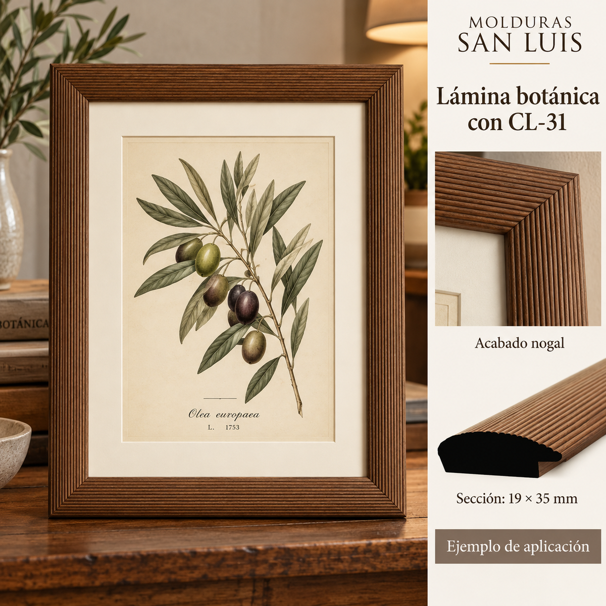 Moldura de madera lisa para marco CL31 – Kit de 4 piezas
