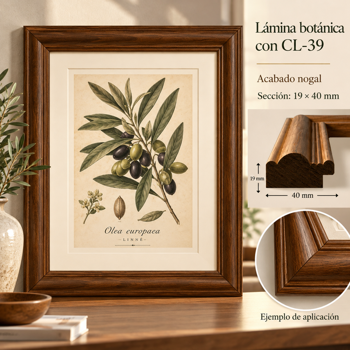 Moldura de madera lisa para marco CL39 – Kit de 4 piezas